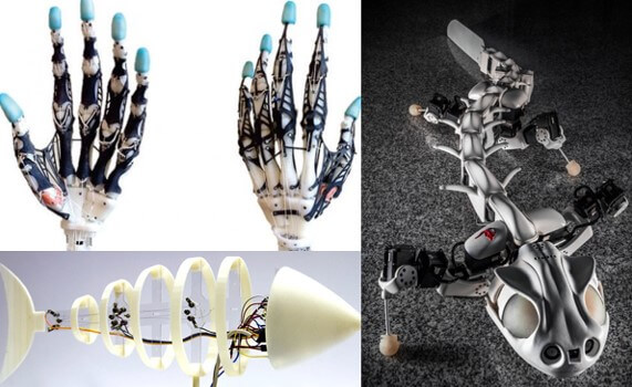仿生學機械人制作.jpg