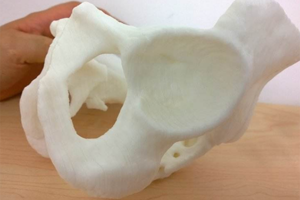 醫療模型24.png 醫療模型24.png