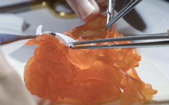 ScreenShot_2025-12-16_135039_800 ScreenShot_2025-12-16_135039_800