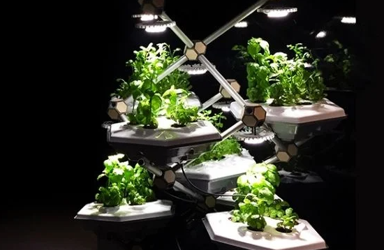 ScreenShot_2026-01-07_174430_180