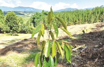 ScreenShot_2026-01-08_160429_999