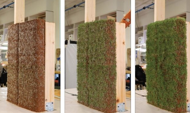 ScreenShot_2026-01-07_174455_058