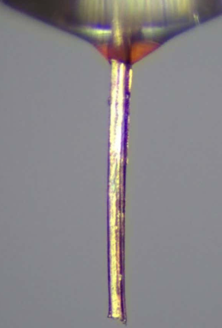 ScreenShot_2026-01-04_105055_043 ScreenShot_2026-01-04_105055_043