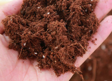 ScreenShot_2026-01-08_160010_163