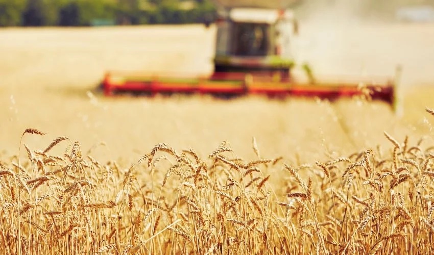 農(nóng)業(yè)3D打印