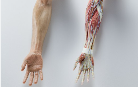 ScreenShot_2026-01-09_110035_759 ScreenShot_2026-01-09_110035_759