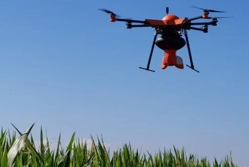 ScreenShot_2026-01-07_174423_835