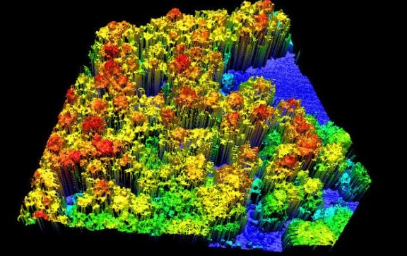 ScreenShot_2026-01-08_091413_220