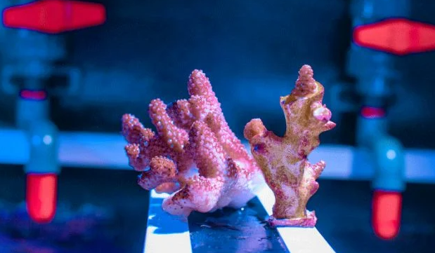 ScreenShot_2026-01-08_090350_927