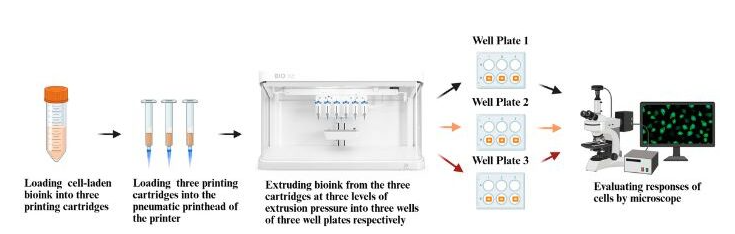 ScreenShot_2026-01-08_090657_055