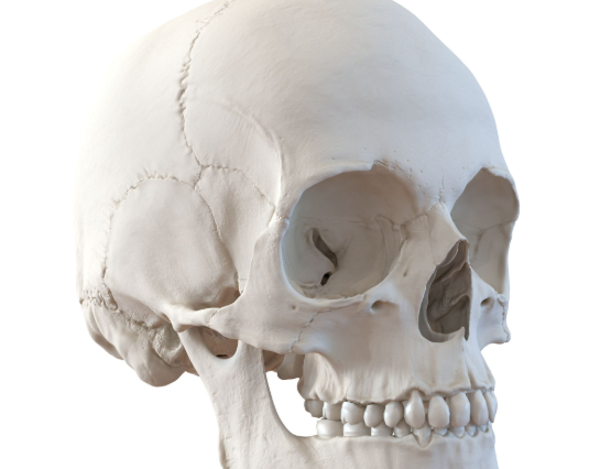 ScreenShot_2026-03-16_140647_875