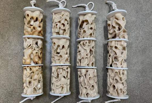 ScreenShot_2026-04-07_145207_850