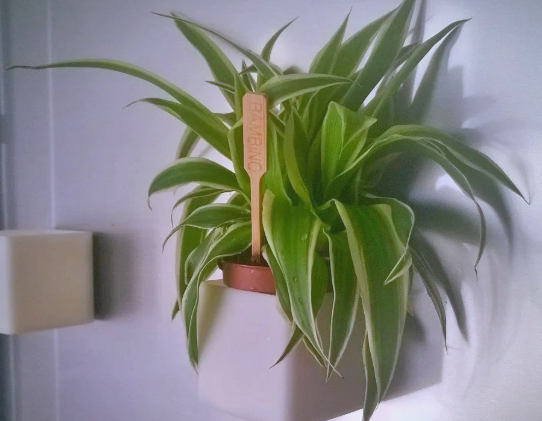 ScreenShot_2026-04-10_155155_485